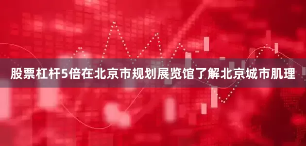 股票杠杆5倍在北京市规划展览馆了解北京城市肌理