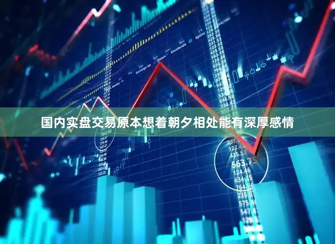 国内实盘交易原本想着朝夕相处能有深厚感情