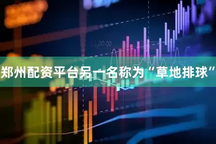 郑州配资平台另一名称为“草地排球”